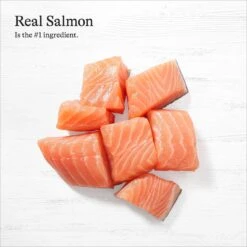 American Journey Minced Salmon & Tuna Recipe In Gravy Grain-Free Canned Cat Food -Meow Meals 216799 PT4. AC SS1800 V1689972629