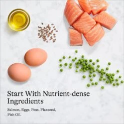 American Journey Minced Salmon & Tuna Recipe In Gravy Grain-Free Canned Cat Food -Meow Meals 216799 PT6. AC SS1800 V1689972517