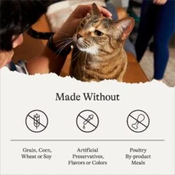 American Journey Minced Salmon & Tuna Recipe In Gravy Grain-Free Canned Cat Food -Meow Meals 216799 PT7. AC SS1800 V1689972592