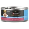 Purina Pro Plan Focus Adult Urinary Tract Health Formula With Salmon Classic Canned Cat Food -Meow Meals 217727 MAIN. AC SS1800 V1634253731