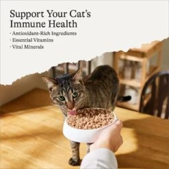 American Journey Minced Chicken Recipe In Gravy Grain-Free Canned Cat Food -Meow Meals 218189 PT1. AC SS1800 V1668007436