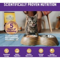 Wellness Chicken & Turkey Pate Favorites Canned Cat Food, 3-oz, Case Of 24 -Meow Meals 218313 PT4. AC SS1800 V1666651614
