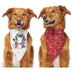 Disney Mickey Mouse & Minnie Mouse "Sweet As Can Be" Reversible Dog & Cat Bandana -Meow Meals 220293 PT4. AC SS1800 V1637667456