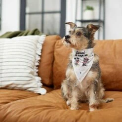 Disney Mickey Mouse & Minnie Mouse "Sweet As Can Be" Reversible Dog & Cat Bandana -Meow Meals 220293 PT5. AC SS1800 V1637707356