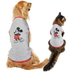 Disney Mickey Mouse & Minnie Mouse "Sweet As Can Be" Reversible Dog & Cat Bandana -Meow Meals 220293 PT6. AC SS1800 V1633125118