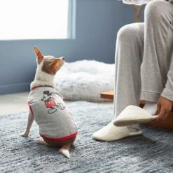 Disney Mickey Mouse & Minnie Mouse "Sweet As Can Be" Reversible Dog & Cat Bandana -Meow Meals 220293 PT7. AC SS1800 V1633126030