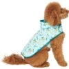 Disney Lightweight Flounder Print Dog & Cat Raincoat 1 Disney Lightweight Flounder Print Dog & Cat Raincoat -Meow Meals 220303 MAIN. AC SS1800 V1646178869