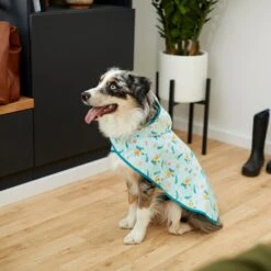 Disney Lightweight Flounder Print Dog & Cat Raincoat 13 Disney Lightweight Flounder Print Dog & Cat Raincoat -Meow Meals 220303 PT8. AC SS1800 V1646178839