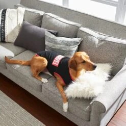 Marvel Logo Dog & Cat T-Shirt, Black -Meow Meals 220338 PT7. AC SS1800 V1613667989