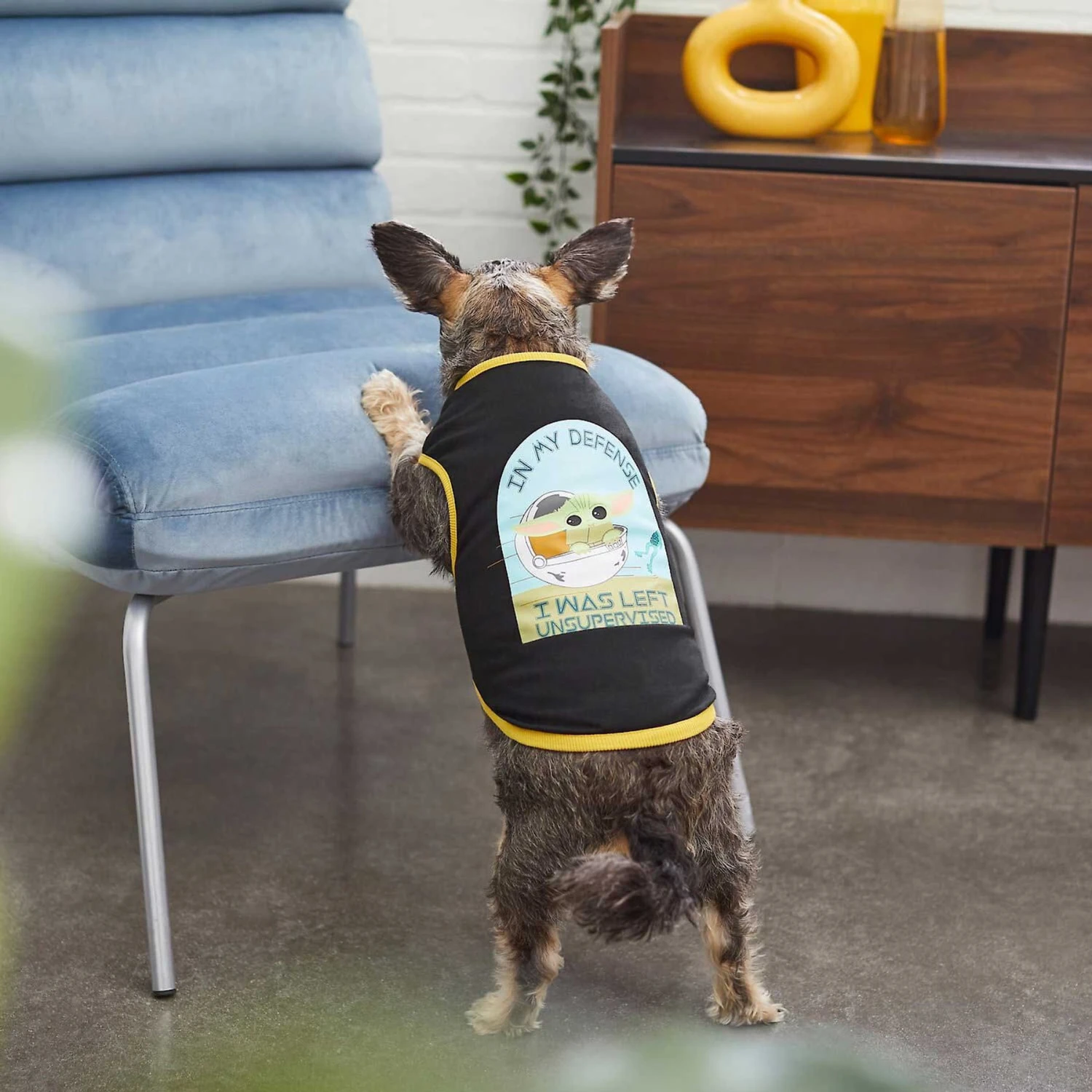 STAR WARS THE MANDALORIAN GROGU "Left Unsupervised" Dog & Cat T-Shirt 8 STAR WARS THE MANDALORIAN GROGU "Left Unsupervised" Dog & Cat T-Shirt - Image 6