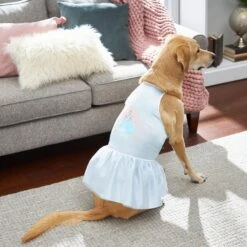 Disney Cinderella Satin Dog & Cat Dress -Meow Meals 220352 PT5. AC SS1800 V1633127062