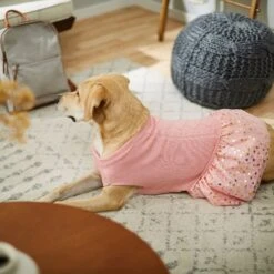 Frisco Cable Knit Dog & Cat Sweater Dress -Meow Meals 223706 PT7. AC SS1800 V1599921696