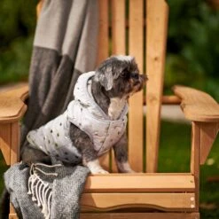 Frisco Mediumweight Silver Polka Dotted Insulated Dog & Cat Coat -Meow Meals 224017 PT7. AC SS1800 V1601579462