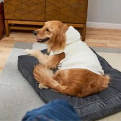 Frisco Plush Fur Dog & Cat Hoodie -Meow Meals 224209 PT7. AC SS1800 V1637685435