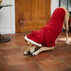 Frisco Textured Knit Dog & Cat Hoodie -Meow Meals 224233 PT6. AC SS1800 V1637729542