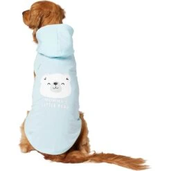 Frisco Mommy's Little Bear Dog & Cat Hoodie -Meow Meals 224272 PT2. AC SS1800 V1637691116