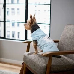 Frisco Mommy's Little Bear Dog & Cat Hoodie -Meow Meals 224272 PT6. AC SS1800 V1637715724