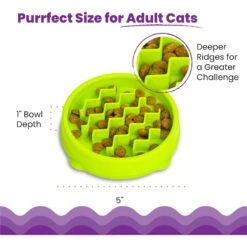 Petstages Kitty Slow Feeder -Meow Meals 227086 PT4. AC SS1800 V1700515751