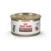Royal Canin Veterinary Diet Kitten Gastrointestinal Ultra Soft Mousse In Sauce Canned Cat Food -Meow Meals 228177 MAIN. AC SS1800 V1691438907