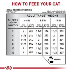 Royal Canin Veterinary Diet Kitten Gastrointestinal Ultra Soft Mousse In Sauce Canned Cat Food -Meow Meals 228177 PT6. AC SS1800 V1691438213