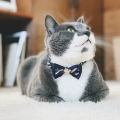 Necoichi Regal Crown Cotton Breakaway Cat Collar With Bell -Meow Meals 230669 PT7. AC SS1800 V1631311933