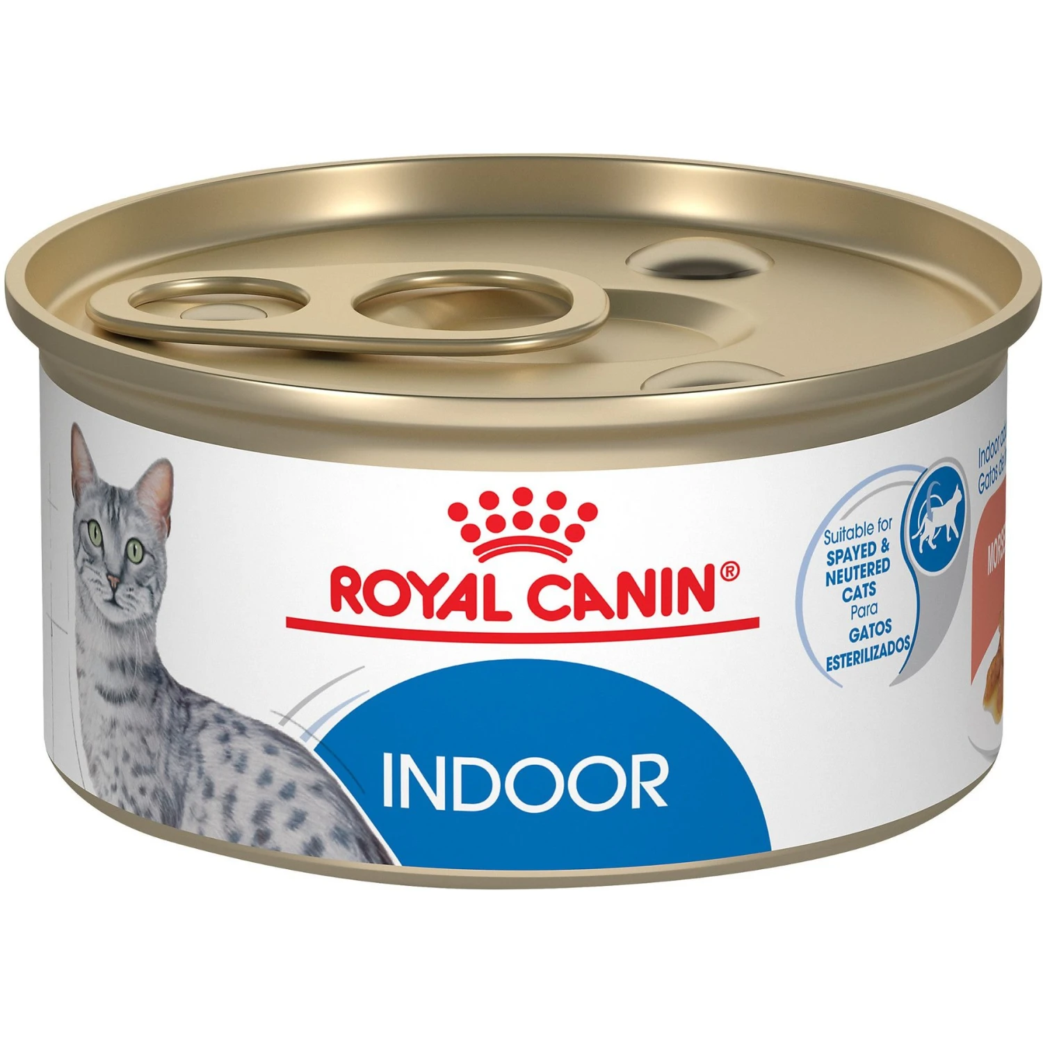 Royal Canin Feline Health Nutrition Indoor Adult Morsels In Gravy Canned Cat Food 3 Royal Canin Feline Health Nutrition Indoor Adult Morsels In Gravy Canned Cat Food