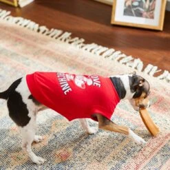 Frisco Love Machine Dog & Cat T-shirt -Meow Meals 238160 PT6. AC SS1800 V1608595661