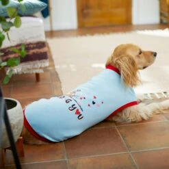 Frisco I Dig You Dog & Cat T-shirt -Meow Meals 238167 PT6. AC SS1800 V1608594463