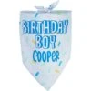 Frisco Birthday Boy Personalized Dog & Cat Bandana -Meow Meals 238329 MAIN. AC SS1800 V1597896415