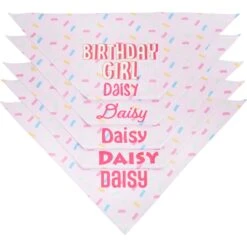 Frisco Birthday Girl Personalized Dog & Cat Bandana -Meow Meals 238333 PT4. AC SS1800 V1618507367