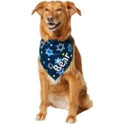 Frisco Hanukkah Personalized Dog & Cat Bandana -Meow Meals 242799 PT6. AC SS1800 V1618511253