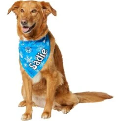 Frisco Blue Snowflakes Personalized Dog & Cat Bandana -Meow Meals 242803 PT6. AC SS1800 V1618511278