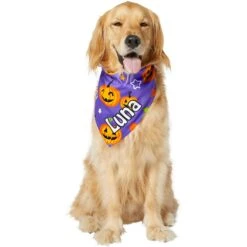 Frisco Halloween Pumpkins Personalized Dog & Cat Bandana -Meow Meals 242815 PT6. AC SS1800 V1618509475