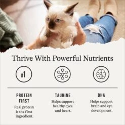 American Journey Kitten Pate Chicken Recipe Grain-Free Canned Cat Food, 3-oz, Case Of 24 -Meow Meals 242872 PT5. AC SS1800 V1689951384