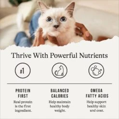 American Journey Indoor Pate Chicken Recipe Grain-Free Canned Cat Food, 5.5-oz, Case Of 24 16 American Journey Indoor Pate Chicken Recipe Grain-Free Canned Cat Food, 5.5-oz, Case Of 24 -Meow Meals 242876 PT5. AC SS1800 V1689951316