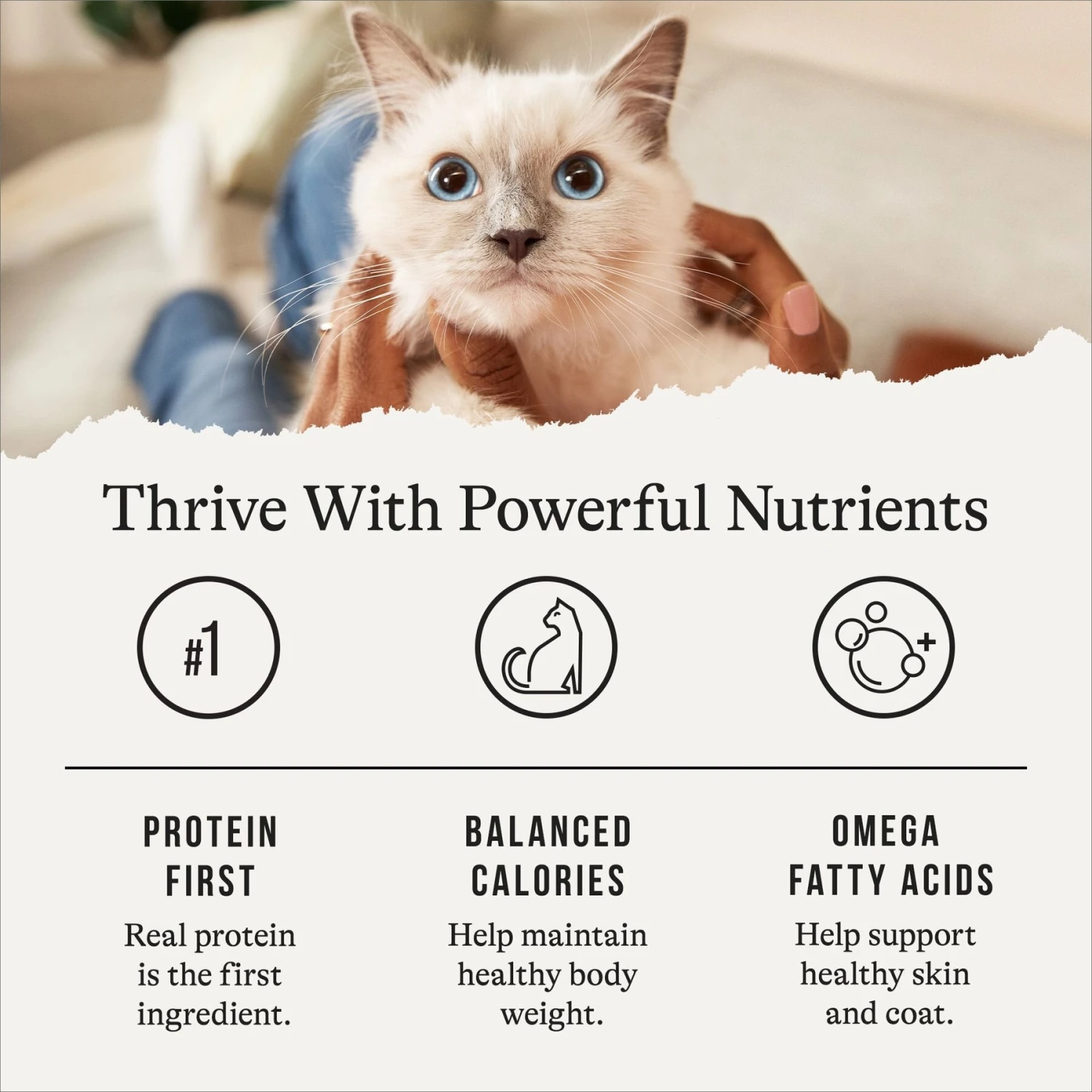 American Journey Indoor Pate Chicken Recipe Grain-Free Canned Cat Food, 5.5-oz, Case Of 24 8 American Journey Indoor Pate Chicken Recipe Grain-Free Canned Cat Food, 5.5-oz, Case Of 24 - Image 6