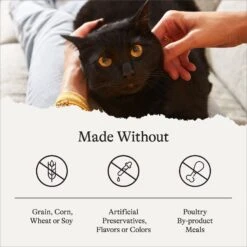 American Journey Indoor Pate Chicken Recipe Grain-Free Canned Cat Food, 5.5-oz, Case Of 24 18 American Journey Indoor Pate Chicken Recipe Grain-Free Canned Cat Food, 5.5-oz, Case Of 24 -Meow Meals 242876 PT7. AC SS1800 V1689951434