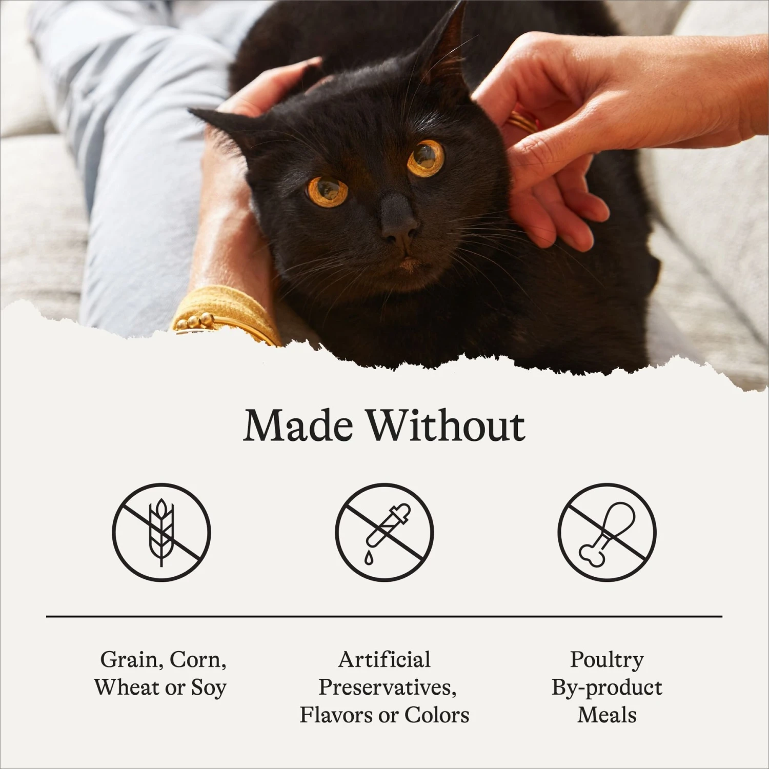 American Journey Indoor Pate Chicken Recipe Grain-Free Canned Cat Food, 5.5-oz, Case Of 24 10 American Journey Indoor Pate Chicken Recipe Grain-Free Canned Cat Food, 5.5-oz, Case Of 24 - Image 8