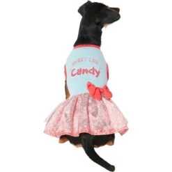 Frisco Sweet Like Candy Dog & Cat Dress -Meow Meals 248666 PT2. AC SS1800 V1632421633