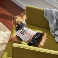 Frisco Boss Babe Dog & Cat Dress -Meow Meals 248674 PT7. AC SS1800 V1613666625