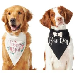 Frisco Wedding Reversible Dog & Cat Bandana -Meow Meals 248712 PT2. AC SS1800 V1632429387