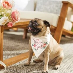 Frisco Wedding Reversible Dog & Cat Bandana -Meow Meals 248712 PT6. AC SS1800 V1632430655