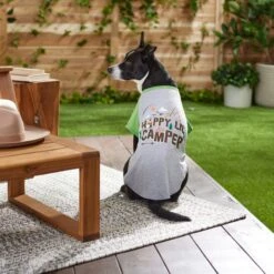 Frisco Happy Lil' Camper Dog & Cat T-Shirt -Meow Meals 248789 PT7. AC SS1800 V1613670226
