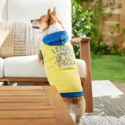 Frisco Leader Of The Pack Dog & Cat Hoodie -Meow Meals 248905 PT5. AC SS1800 V1637682701