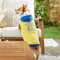 Frisco Leader Of The Pack Dog & Cat Hoodie -Meow Meals 248905 PT7. AC SS1800 V1613752118