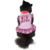 Frisco Cute & Sassy Dog & Cat Dress -Meow Meals 249073 MAIN. AC SS1800 V1644452847