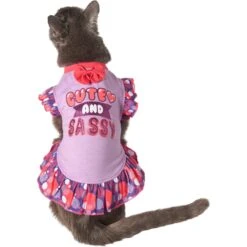 Frisco Cute & Sassy Dog & Cat Dress -Meow Meals 249073 PT2. AC SS1800 V1644959826