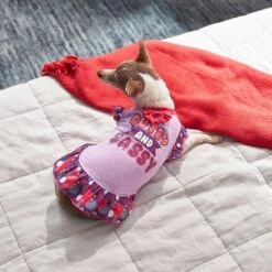 Frisco Cute & Sassy Dog & Cat Dress -Meow Meals 249073 PT5. AC SS1800 V1644960392