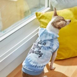 Frisco Life Is Wag Worthy Tiedye Print Dog & Cat Hoodie -Meow Meals 249094 PT7. AC SS1800 V1614362017