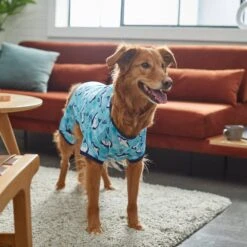 Frisco Happy Shark Dog & Cat Jersey PJs 13 Frisco Happy Shark Dog & Cat Jersey PJs -Meow Meals 249122 PT7. AC SS1800 V1614276183